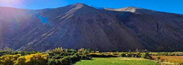 Discover Something Different: Unique Wine Regions