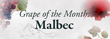 Grape of the Month: Malbec