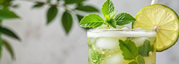 Mixology at Home: Crafting Cocktails with Low and No-Alcohol Spirits