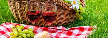 The Best Wines for Summer Picnics