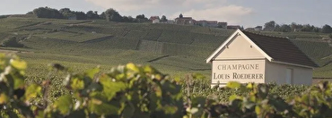 Everything you Need to Know about Roederer Champagne