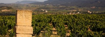 Meet the Winemaker: Bodegas C.V.N.E.