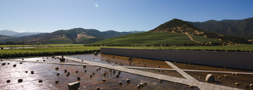 The Story Behind the Glass: VIÑA VIK