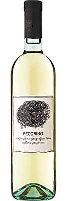 Contesa Pecorino 2023/24, Colline Pescaresi