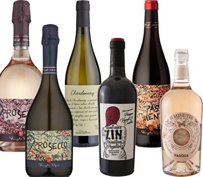 Pasqua 6 Bottle Mixed Wine Case