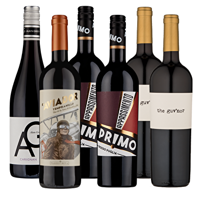 Big, Rich Red Selection 6 Wine Case