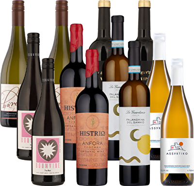 Buyers' Festive Favourites 12 Bottle Mixed Wine Case