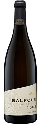 Balfour 1503 Ortega