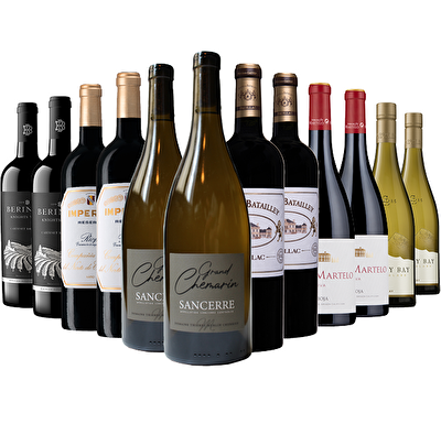 Fine Wine 12 Bottle Wine Case