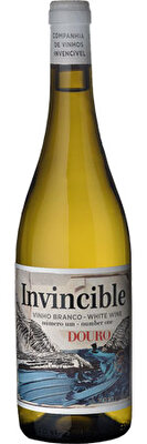 Invincible Numero Um Branco