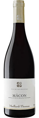 Moillard Thomas Macon Rouge 2023/24