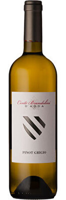 Show details for Brandolini Pinot Grigio, 2023, Friuli DOC, Italy
